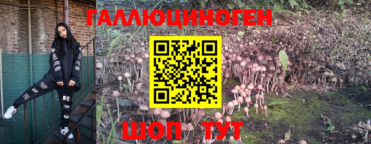 Псилоцибиновые грибы прущие грибы  Галлюциногенные грибы GOLDEN TEACHER  Вход с VPN  Ейск 